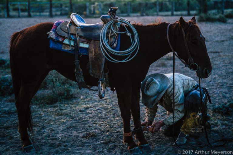 Round Up The Long X Ranch Limited Edition Prints Arthur Meyerson
