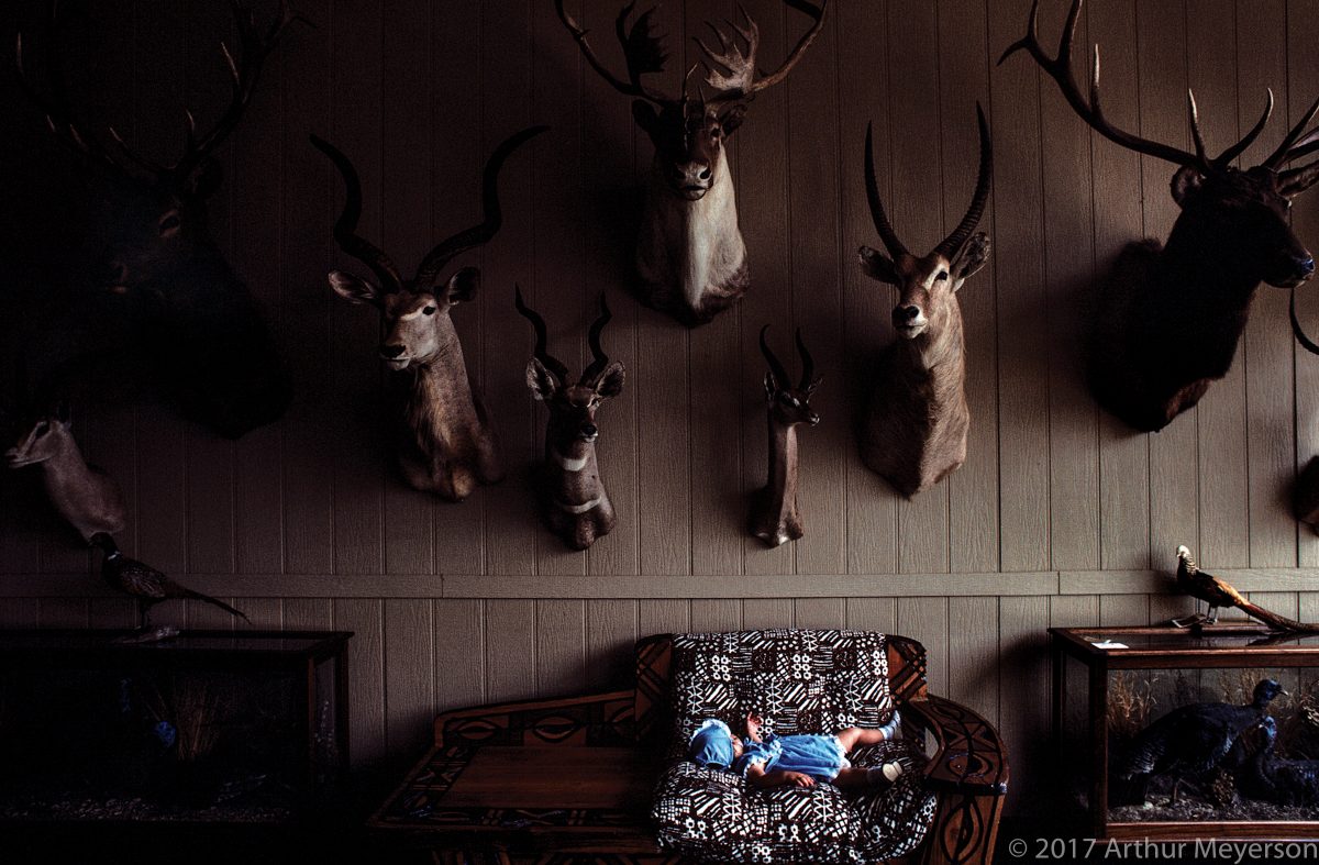 Taxidermy Shop, Texas 1988 (MFAH Collection)