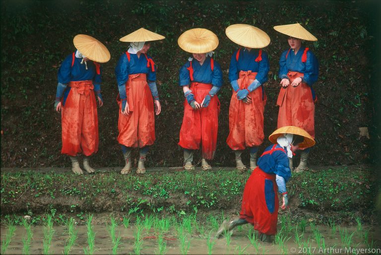 Rice Planting Festival, Kyoto, 1984 (MFAH Collection)