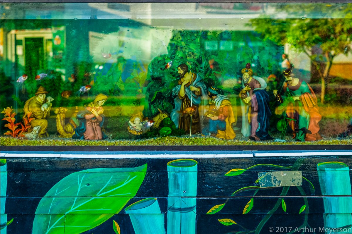 Holy Aquarium, Cozumel