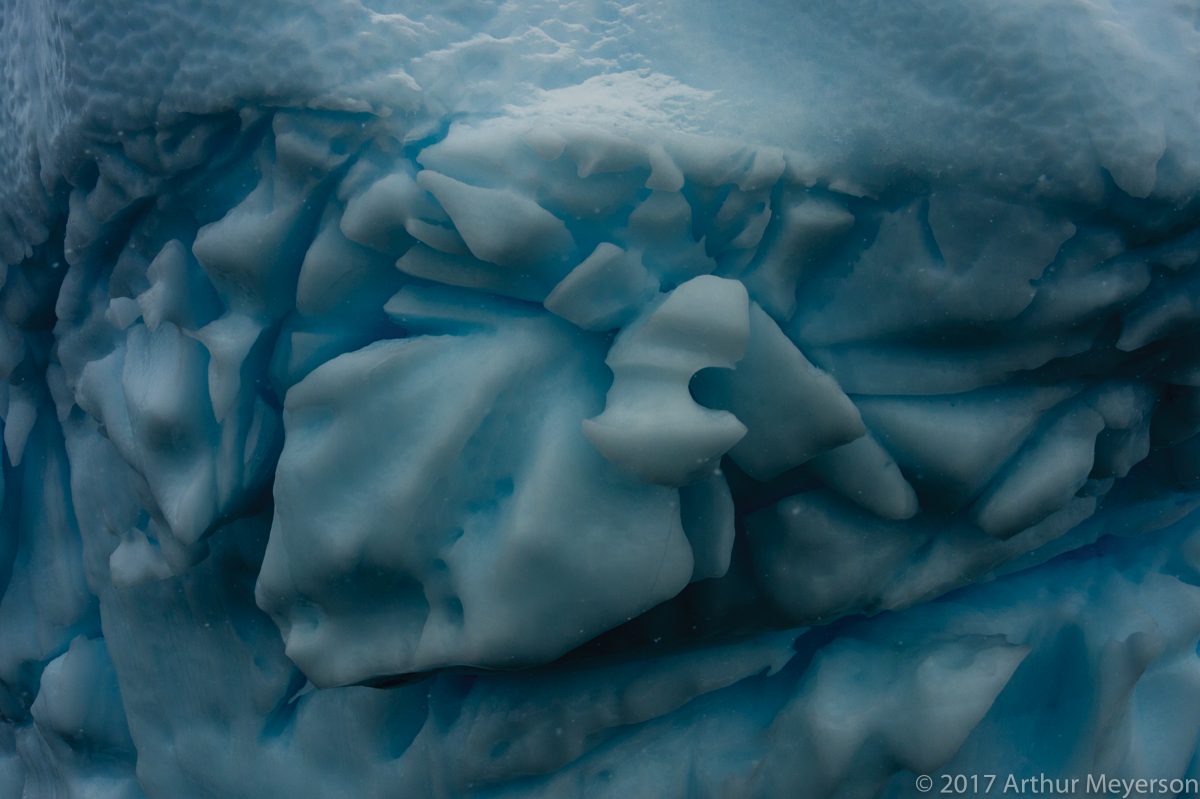 Ice Sculpture