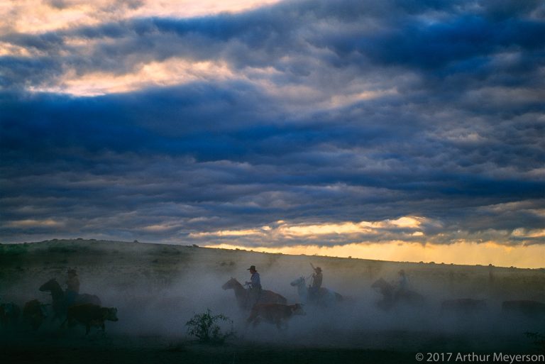 Round Up, Texas, 1993