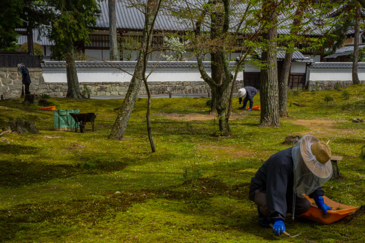 Three Gardeners