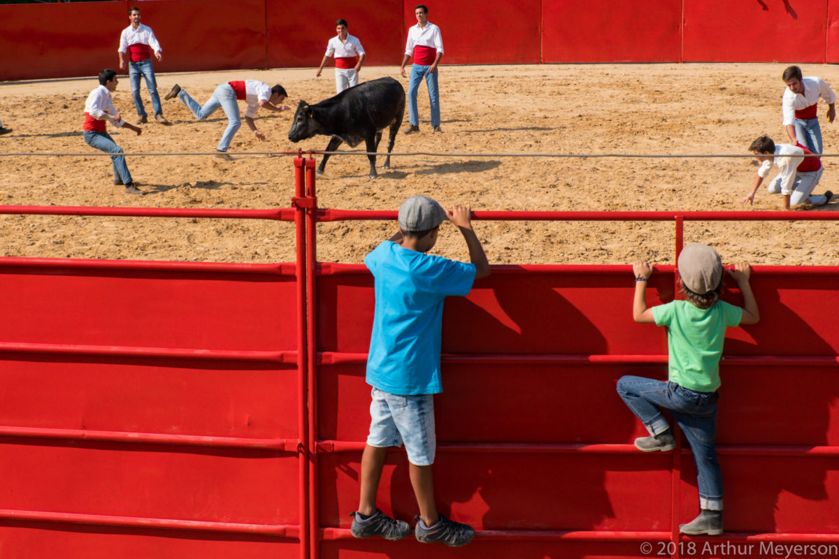 Feiro do Campo, Portugal