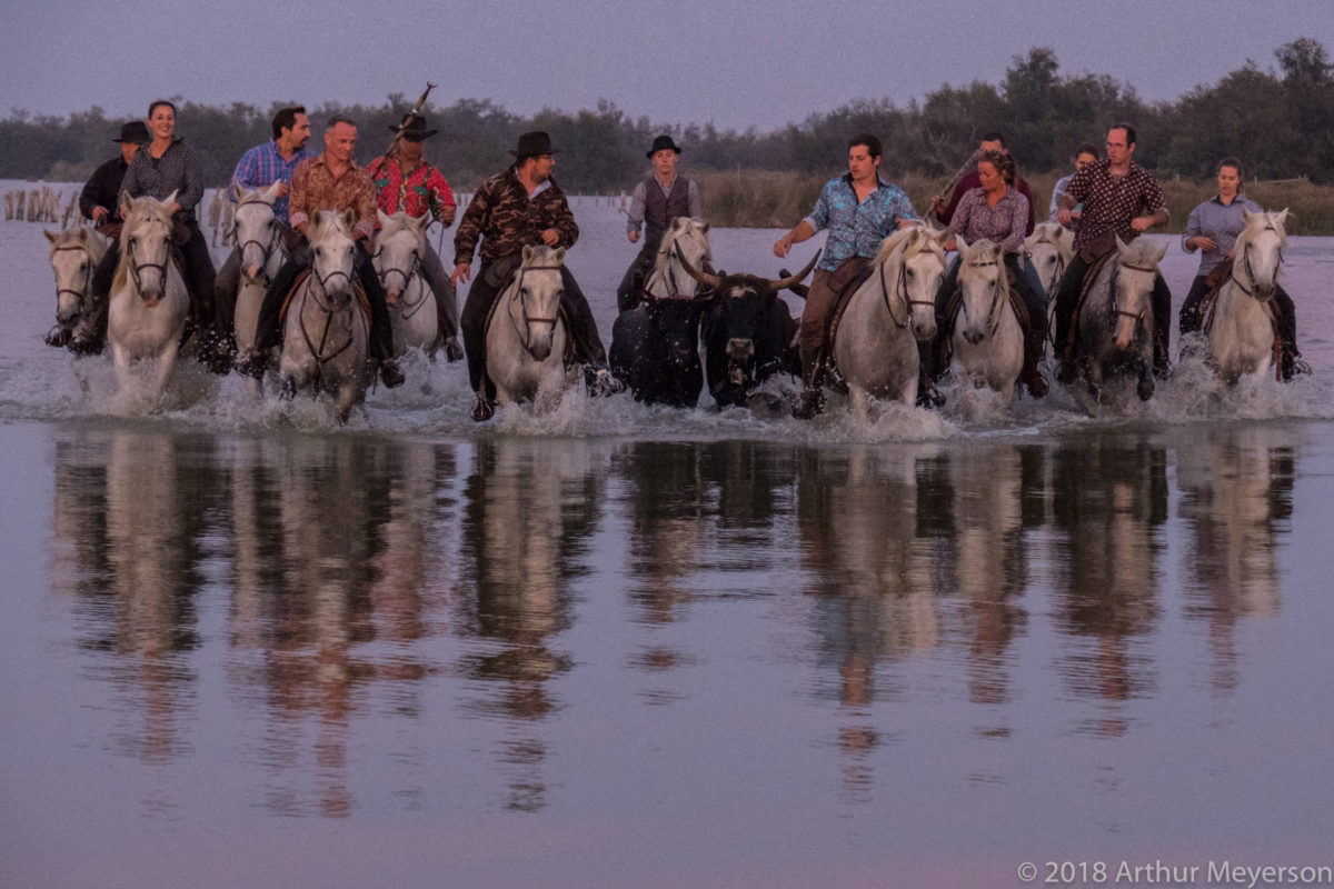 Camargue at Dusk