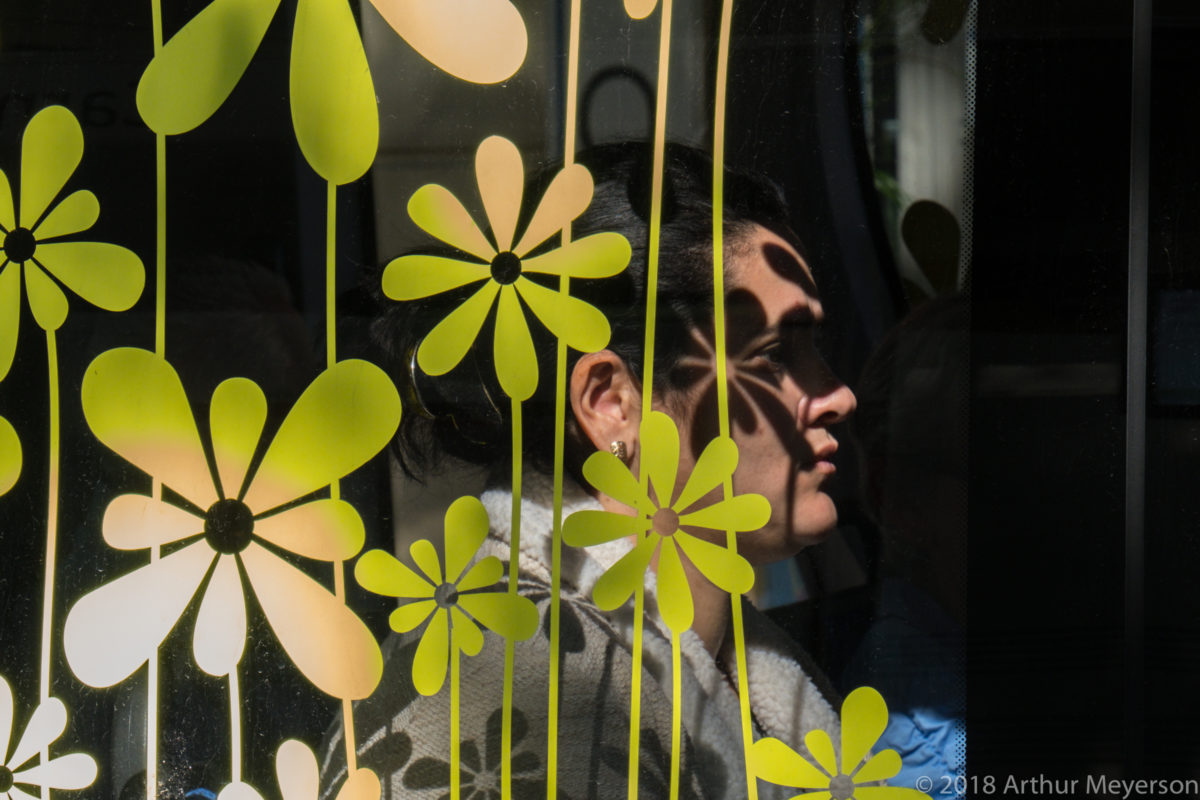 Flowers, Avignon