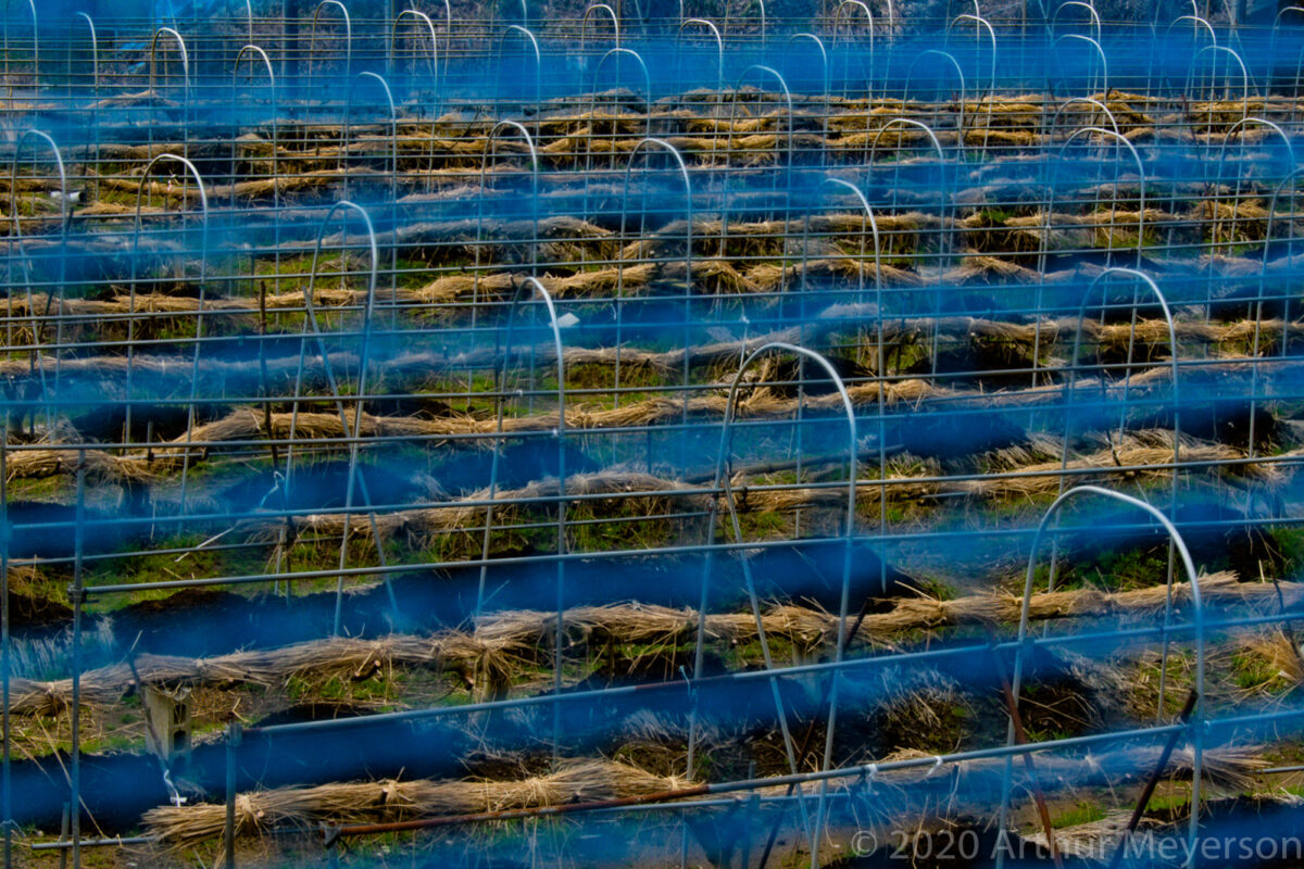 Farm