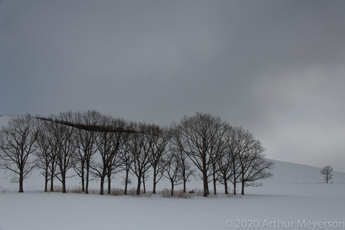 Snowy Landscape