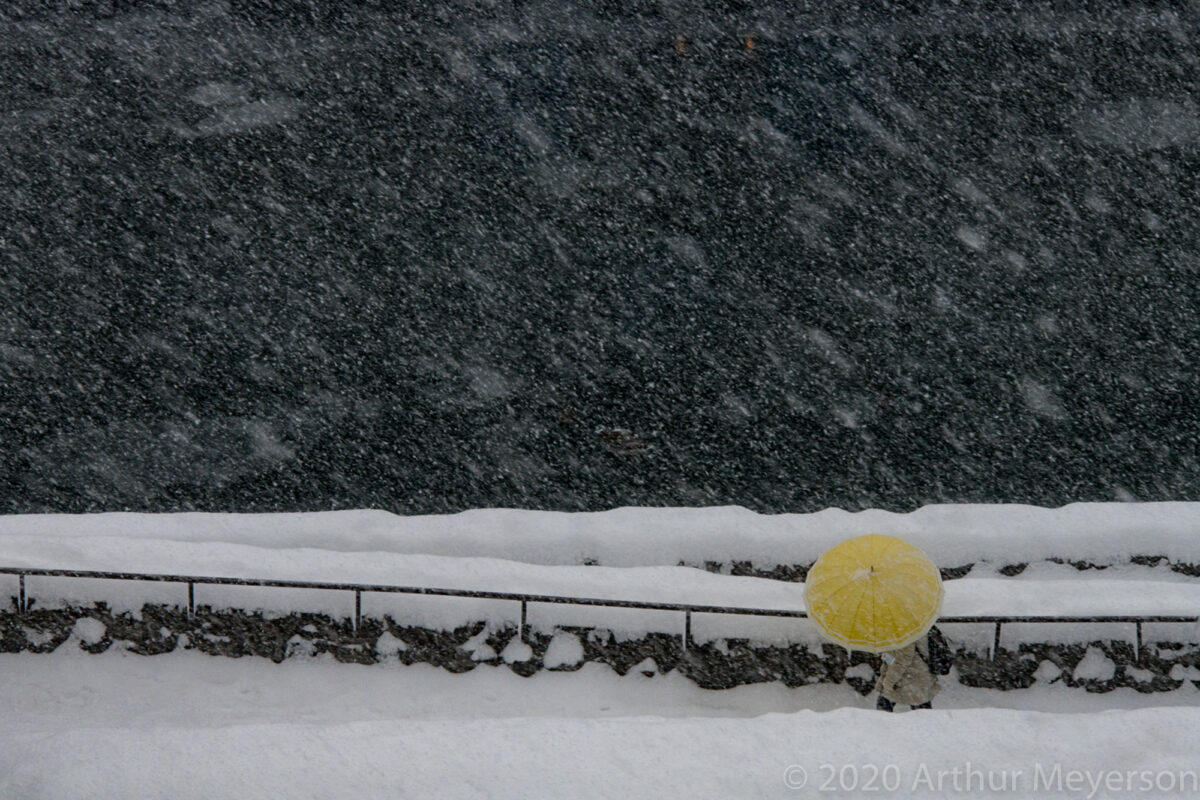 Yellow Umbrella, Japan